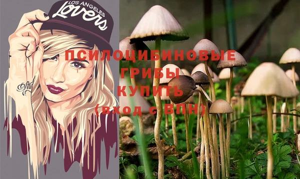 гидра Ладушкин