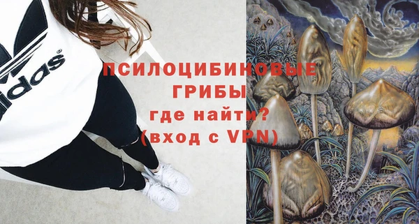 первитин Кукмор