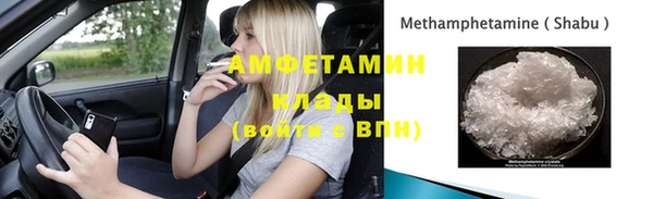 шишки Дубовка